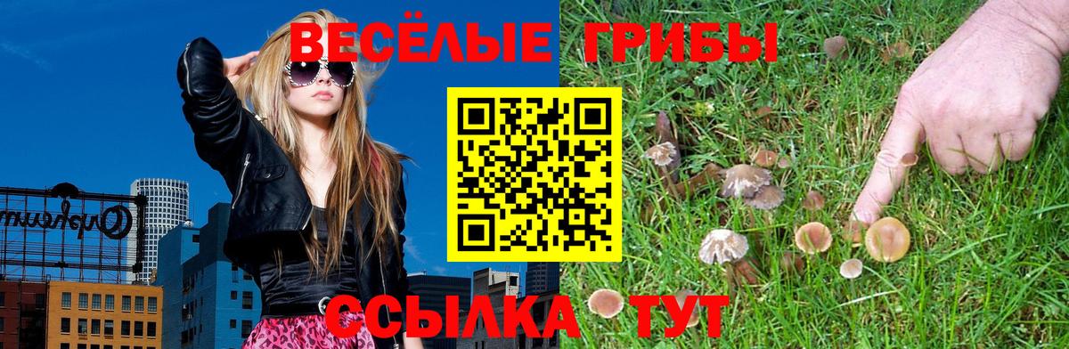 Галлюциногенные грибы Psilocybe Лысьва